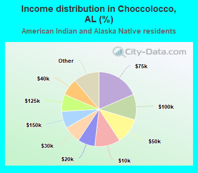 Income distribution in Choccolocco, AL (%)