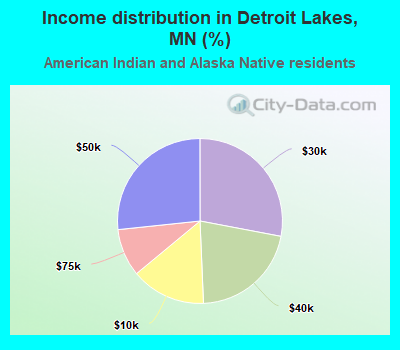 Income distribution in Detroit Lakes, MN (%)