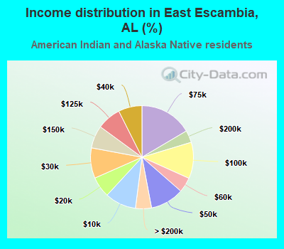 Income distribution in East Escambia, AL (%)