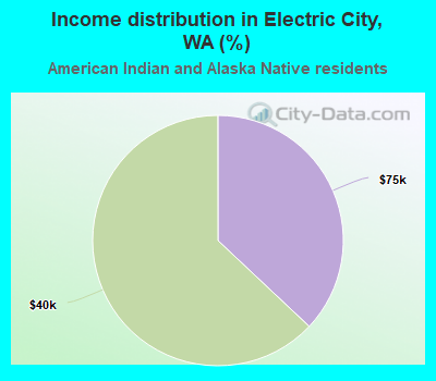 Income distribution in Electric City, WA (%)