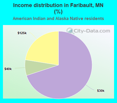 Income distribution in Faribault, MN (%)