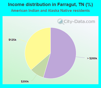 Income distribution in Farragut, TN (%)