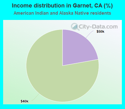 Income distribution in Garnet, CA (%)