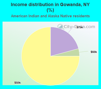 Income distribution in Gowanda, NY (%)