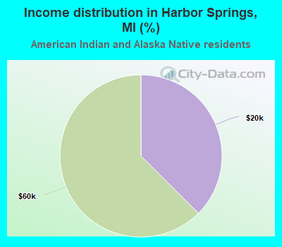 Income distribution in Harbor Springs, MI (%)