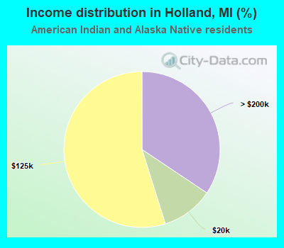 Income distribution in Holland, MI (%)