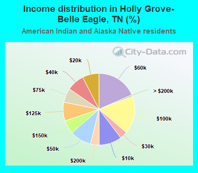 Income distribution in Holly Grove-Belle Eagle, TN (%)