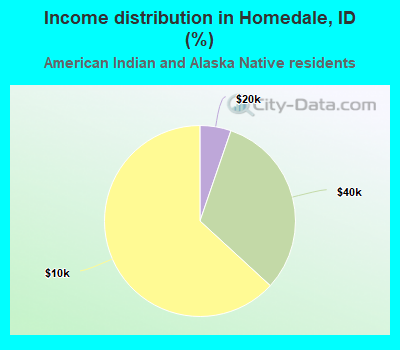 Income distribution in Homedale, ID (%)