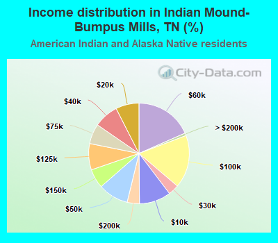 Income distribution in Indian Mound-Bumpus Mills, TN (%)