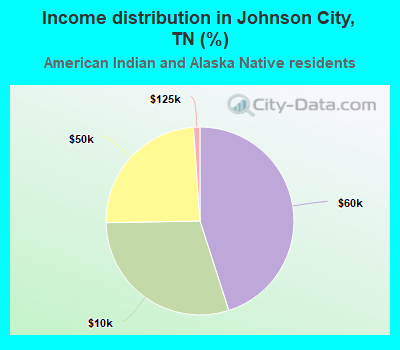 Income distribution in Johnson City, TN (%)