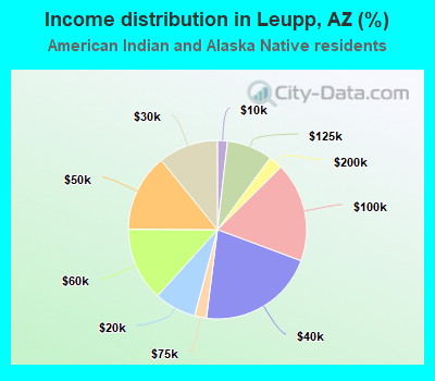 Income distribution in Leupp, AZ (%)