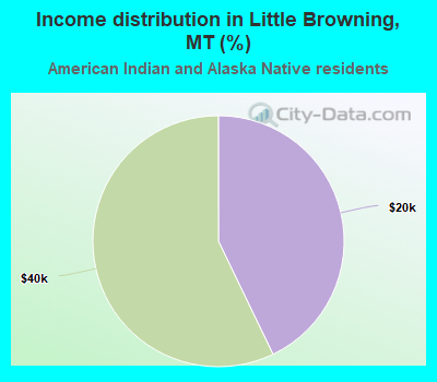 Income distribution in Little Browning, MT (%)