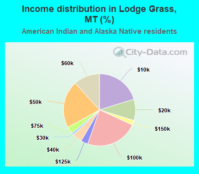 Income distribution in Lodge Grass, MT (%)