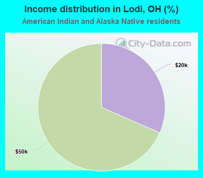 Income distribution in Lodi, OH (%)