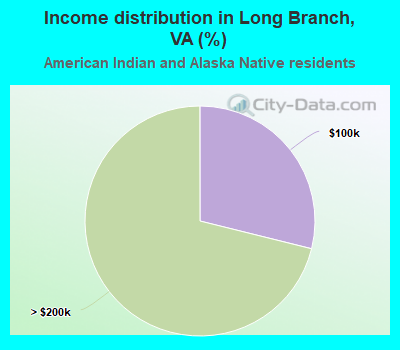Income distribution in Long Branch, VA (%)
