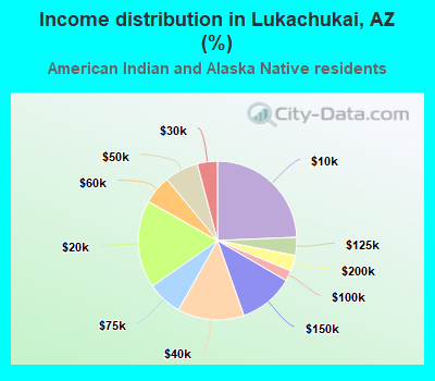 Income distribution in Lukachukai, AZ (%)