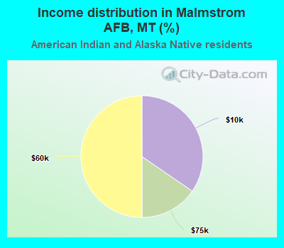 Income distribution in Malmstrom AFB, MT (%)