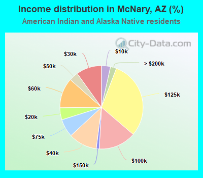 Income distribution in McNary, AZ (%)
