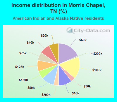 Income distribution in Morris Chapel, TN (%)