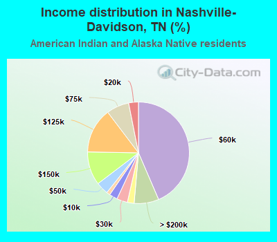 Income distribution in Nashville-Davidson, TN (%)