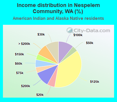 Income distribution in Nespelem Community, WA (%)