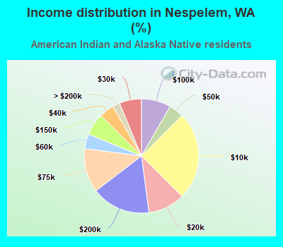 Income distribution in Nespelem, WA (%)