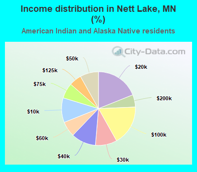 Income distribution in Nett Lake, MN (%)