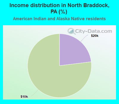 Income distribution in North Braddock, PA (%)