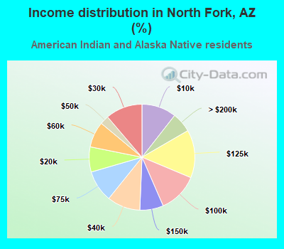 Income distribution in North Fork, AZ (%)