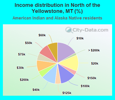 Income distribution in North of the Yellowstone, MT (%)