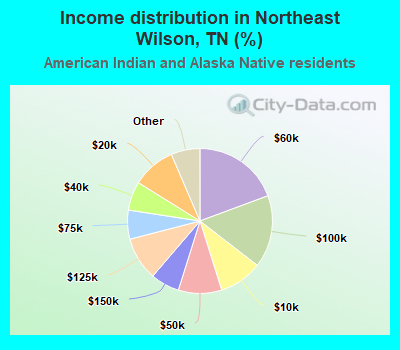 Income distribution in Northeast Wilson, TN (%)