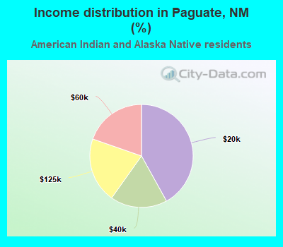 Income distribution in Paguate, NM (%)