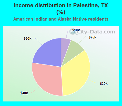 Income distribution in Palestine, TX (%)