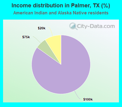 Income distribution in Palmer, TX (%)