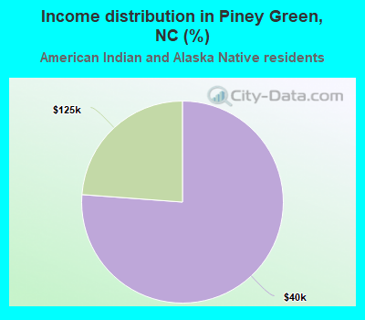 Income distribution in Piney Green, NC (%)