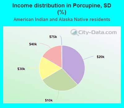 Income distribution in Porcupine, SD (%)