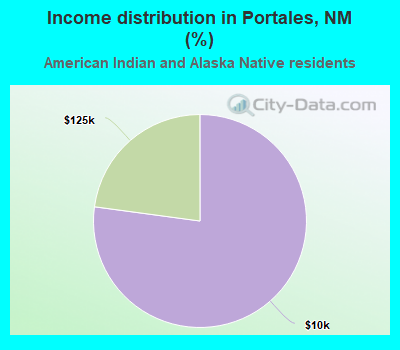 Income distribution in Portales, NM (%)