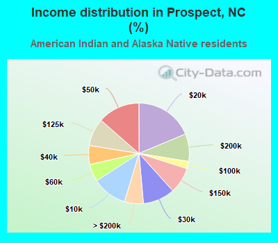 Income distribution in Prospect, NC (%)