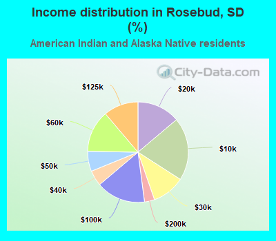 Income distribution in Rosebud, SD (%)