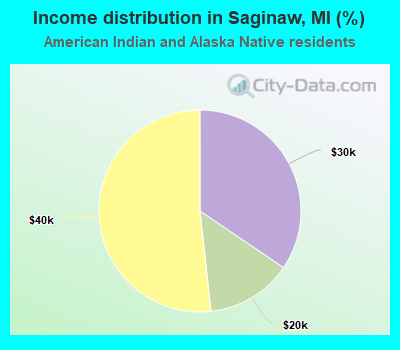 Income distribution in Saginaw, MI (%)