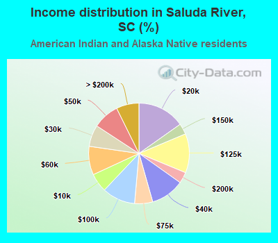 Income distribution in Saluda River, SC (%)