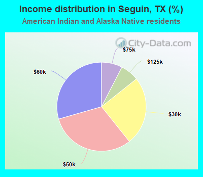 Income distribution in Seguin, TX (%)