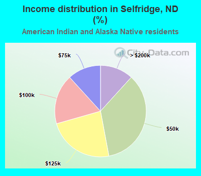Income distribution in Selfridge, ND (%)
