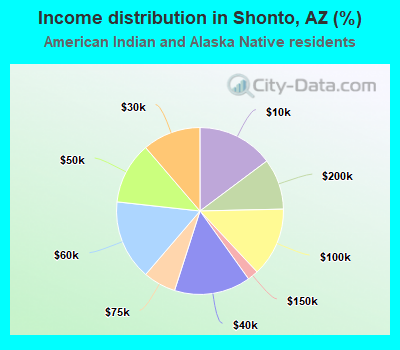 Income distribution in Shonto, AZ (%)