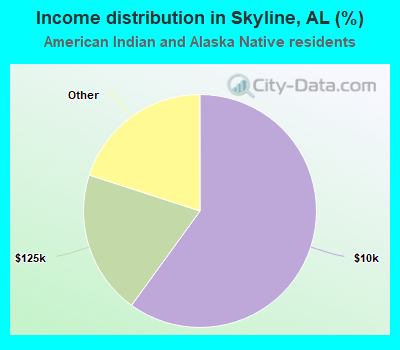 Income distribution in Skyline, AL (%)