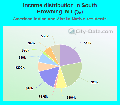 Income distribution in South Browning, MT (%)