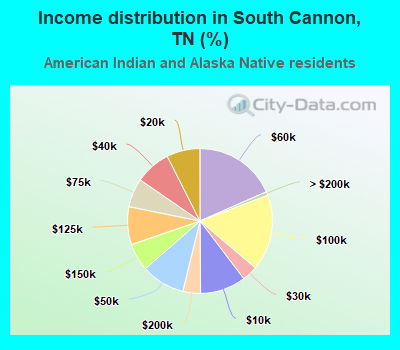 Income distribution in South Cannon, TN (%)