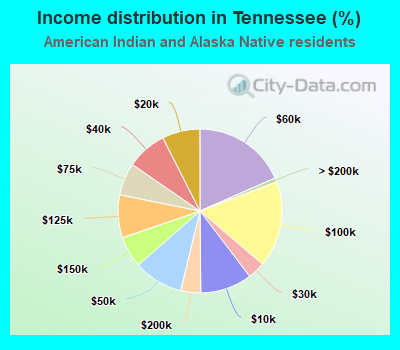 Income distribution in Tennessee (%)