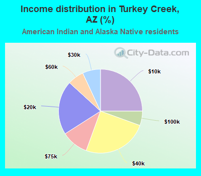 Income distribution in Turkey Creek, AZ (%)