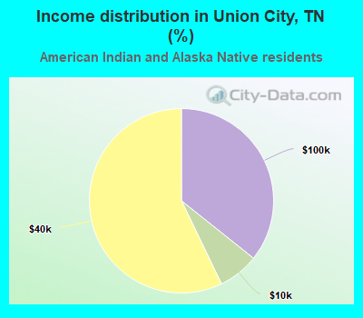Income distribution in Union City, TN (%)